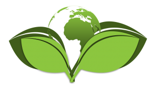 Zero Waste Lifestyle Gifts